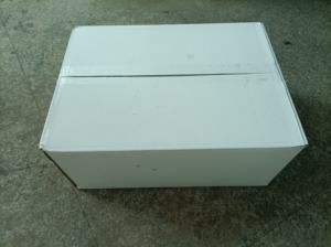 <span class=keywords><strong>P2002</strong></span> Anneaux de calmar géant surgelés, anneaux de calmar pelés - Product Image 6