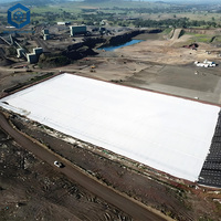Tissu non tissé à contrôle qualité strict, géotextile routier à vendre pour la construction de voies d'accès