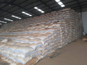 Graines de Soja Biologiques Premium Non-OGM Marque TZ879DTH Humidité Stable pour le Commerce d'Exportation Origine Brésil 10kg Durée de Conservation 2 Ans - Product Image 2