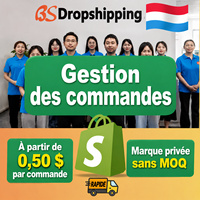 Agent d'exécution des commandes en Chine, agent de dropshipping pour les boutiques Shopify, service de personnalisation de marque sans MOQ pour le Luxembourg