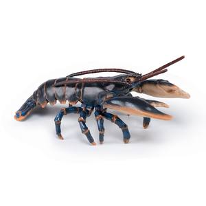 Homards frais surgelés de qualité supérieure et homards surgelés au goût naturel et à la texture riche, idéaux pour la transformation alimentaire en gros - Product Image 3