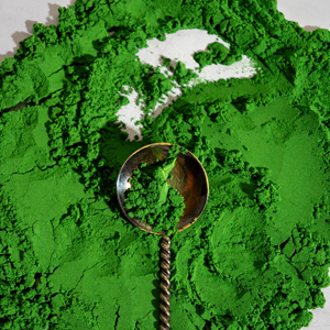 Espirulina en Polvo de Alta Calidad 99%, Extracto Herbal en Frasco de Vidrio, Suplemento de Grado Alimenticio, Suministro a Granel, Exportación Industrial, India - Product Image 1
