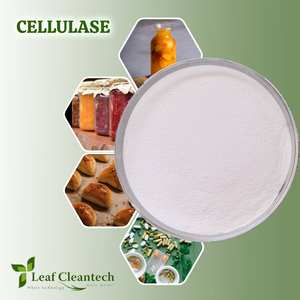 Cellulase Powder Wholesale High Quality <b>Enzyme</b> Manufacturer for <b>Food</b> & Nutrition Applications From Bangalore, Karnataka, India - Product Image 1