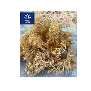 MORUE DE MER SÈCHE ÉCLOGÉE, BIO, SÛRE ET PROPRE, LES MEILLEURES QUALITÉS POUR SOUPES, CUISINE ET SOINS DE LA PEAU - VENTE EN GROS DIRECTE - Product Image 1