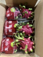 2025 Vietnam Gekweekte Biologische Witte Drakenvrucht Hoge Kwaliteit Vers Fruit Hot Sale Boerderijprijs Goed voor de Gezondheid Groothandel