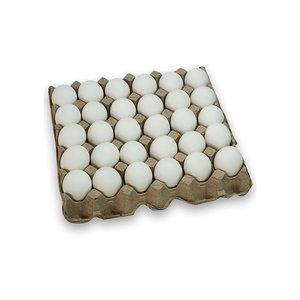 Œufs de poule blancs biologiques frais, prix compétitif, vente en gros, œufs de poule de table frais de la ferme - Product Image 3