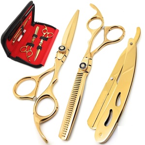 Ciseaux de coiffure professionnels japonais en acier inoxydable pour la coupe à domicile, kit de ciseaux à effiler pour barbier/salon, argenté avec peigne et étui - Product Image 5