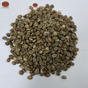 Vietnam <b>Robusta</b> Green <b>Coffee</b> <b>Beans</b> S16 High Caffeine Raw <b>Beans</b> for Strong <b>Coffee</b> Production Bulk Export - Product Image 1
