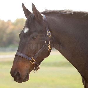 Oferta Especial: Brida para Caballo de Cuero OEM al por Mayor a Precio Económico, Nueva en Stock - Product Image 2