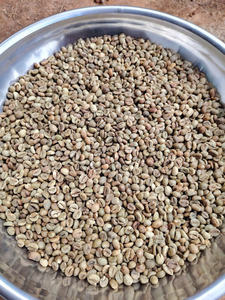 ส่งออกโดยตรงจากเวียดนาม เมล็ดกาแฟโรบัสต้า หลายขนาด เวียดนาม AA+ แท้ธรรมชาติ ส่งออกจำนวนมาก ราคาประหยัด - Product Image 3