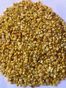 Toor Dal Séché Conventionnel de Qualité Supérieure en Gros, issu de l'Agriculture, à Valeur Nutritionnelle Naturelle pour une Cuisine Saine, Fournisseur Indien - Product Image 2