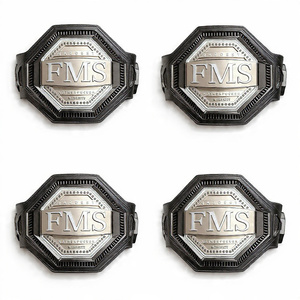 Cinturón de Campeonato de Boxeo Unisex de Alta Calidad, Personalizado OEM ODM, con Hebilla de Aleación y Forro de Nailon con Impresión por Transferencia de Calor, Marca Hongmioo - Product Image 2