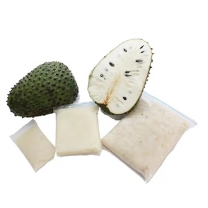 Concentrado de Jugo de Guanábana Congelado Premium – Concentrado de Fruta Tropical Natural para la Industria de Bebidas - Product Image 6