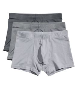 Ropa Interior de Algodón para Hombre Adulto, 100% Algodón Tejido, ODM, Transpirable, Suave, Cómoda, Antibacteriana, de Secado Rápido, Cintura Media con Logotipo - Product Image 4