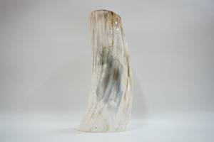 Porte-plantes artisanal en corne, artisanat naturel, récipient rustique pour la décoration de la maison - Product Image 6