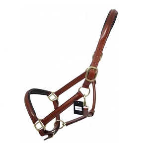 Équipement d'entraînement de cheval en cuir de vachette Harnais de bride Halters-Fournitures équestres pour les soins et l'entraînement des chevaux - Product Image 2