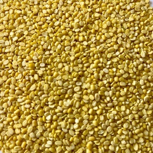 Moong Dal Amarillo Indio Convencional Saludable, Calidad Alimentaria Premium, Comidas Secas Nutritivas, Suministro a Granel 50kg - Product Image 5