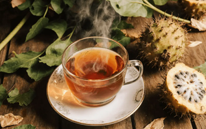 Hojas de Graviola de Alta Calidad, Materia Prima para Té Herbal, Exportación al por Mayor, Fabricante de Vietnam - Product Image 6