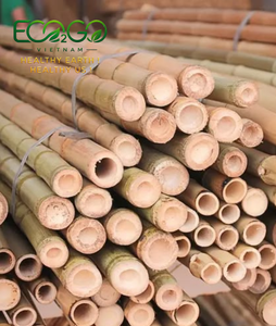 Estaca/Vara/Poste de Bambú 100% Natural Eco2go Vietnam, Recto y Flexible, Diámetro de 10-20 mm, Longitud de 0.5-2 m, Tamaño Personalizado, Más Vendido - Product Image 1