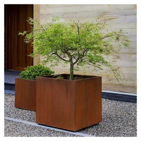 Jardinière rectangulaire en acier inoxydable écologique avec finition revêtue de vinyle, fonction hydroponique