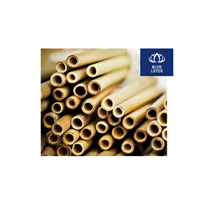 Pailles en bambou écologiques, sûres et propres, à base de plantes pures, idéales pour servir des boissons froides et des jus – Vente directe, succès commercial garanti. - Product Image 1