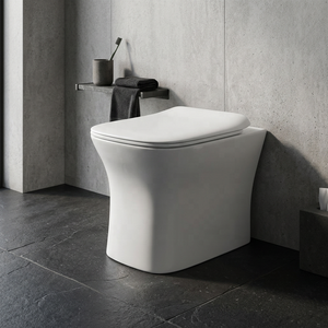 European Water Closet Anglo Indian Set Low Price Square Matt Ceramic EWC Toilet P Trap Concealed Tank One Piece - Product Image 5