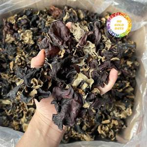 Venta al por mayor de hongos oreja de diablo (kikurage) de Vietnam directamente de fábrica para tiendas minoristas: colección de hongos nutritivos de moda - Product Image 1