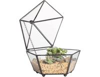 Centro de Mesa para Boda, Terrario de Cristal, Decoración Artística, Recipiente para Plantas de Interior, Suculentas, Plantas Aéreas, Miniaturas