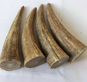 Corne de buffle véritable faite à la main en Inde, écologique, pour chiens et chats, friandise séchée par TIMELESS CRAFT - Product Image 5