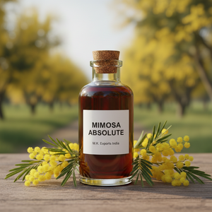 Absoluto de Mimosa Acacia Dealbata para Marcas de Fragancias de Lujo y Fabricantes de Cosméticos - Product Image 1