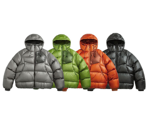 Veste d'hiver matelassée à capuche pour homme, coupe décontractée, coupe-vent, fermeture éclair, couleur unie, épaisse, coupe ample, longueur normale, 100% polyester - Product Image 1