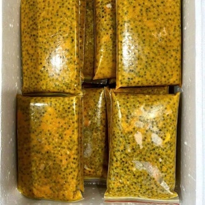 Cubes de jus de fruits de la passion tropicaux surgelés du Vietnam eau IQF pour boissons Desserts Smoothies traitement de la crème glacée emballage en vrac - Product Image 6