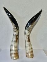 Cornes de buffle naturelles, forme naturelle, décoration d'intérieur, artisanat animalier