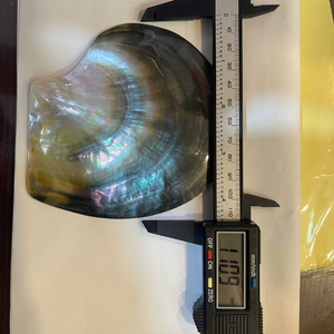 Natural Vietnam Black Lipped Oyster Shell 60-80mm Mother Of Pearl For Luxury Jewelry Inlay Supplies From 99 Gold Data - Product Image 3