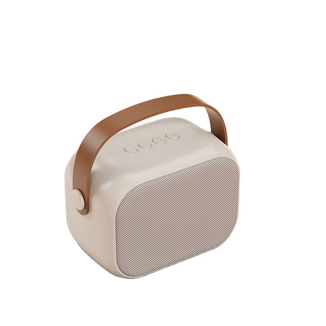 Professional Wireless Bt Speaker Mini Wireless Speaker for Karaoke with Single Wireless Mic