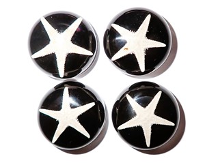 Cabujón de Estrella de Mar Redondo de 25x25 mm, Negro, Base Plana, para Manualidades y Joyería - Product Image 5
