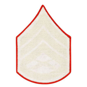 Insignia Profesional Chevron para Uniforme: Chevron de Mandato y Ejecución Coordinada, Chevron de Nominación, Chevron en Venta - Product Image 2