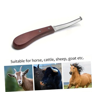 Cuchillos de doble filo para recortar pezuñas, cuchillo para pezuñas de caballo de acero inoxidable con mango de madera, herramienta para recortar pezuñas de ganado y ovejas - Product Image 1