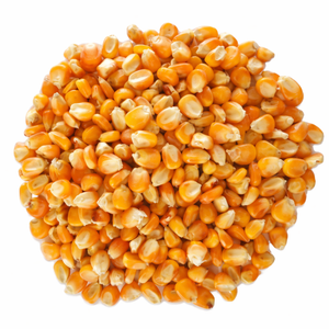 เมล็ดข้าวโพดเหลืองอบแห้งจากธรรมชาติ 100% เหมาะสำหรับทำป๊อปคอร์น กรีตส์ และการแปรรูปอาหาร/ คุณอัลินา - Product Image 2