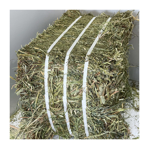 หญ้าทิโมธีพรีเมียม สำหรับการจัดจำหน่ายขายส่งและคำสั่งซื้อทางการเกษตร - Product Image 4