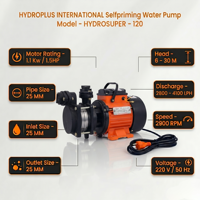 Pompe à eau auto-amorçante en métal Hydroplus International 1,5 CV, haute pression, haute aspiration, moteur en cuivre, 220 V 50 Hz, PTFE