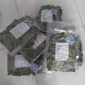 Poudre de feuilles de gelée verte écologique la plus vendue, style herbes, pour ingrédient alimentaire de desserts et de bubble tea - Product Image 2