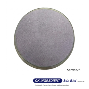 Premium High Quality Blackcurrant Juice Powder Halal OEM B2B <b>Best</b> Supplier Guarantee Top Sale Antioxidant Health Beverage Mix - Product Image 5