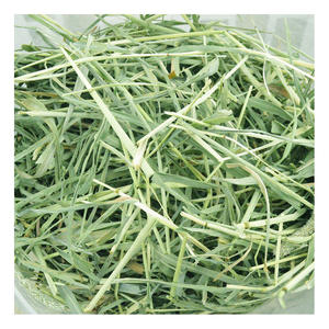 Heno de Timothy de Alta Calidad a Precio Económico - Product Image 1