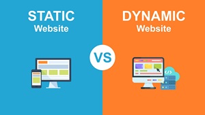 Desarrollo de Sitios Web Estáticos con Archivos Html y CSS Codificados a Mano, con Formulario de Contacto, Galería, Página de Información y Sección de Servicios - Product Image 5