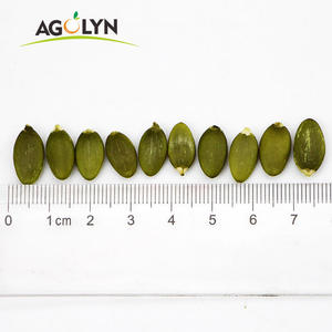 เมล็ดฟักทองปรุงรสซอสถั่วเหลือง - Product Image 1
