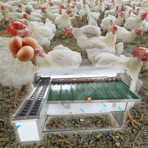 Egg Sorter With <b>Laser</b> <b>Printer</b> Egg Shell Cleaning and Size Sorter Machine Factory Direct Sales Chicken Small Egg Sorter - Product Image 3