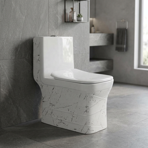 Inodoro de Cerámica de Una Pieza Vistaar de Alta Calidad, el Más Vendido, Decorativo, de Fabricante Indio - Product Image 2