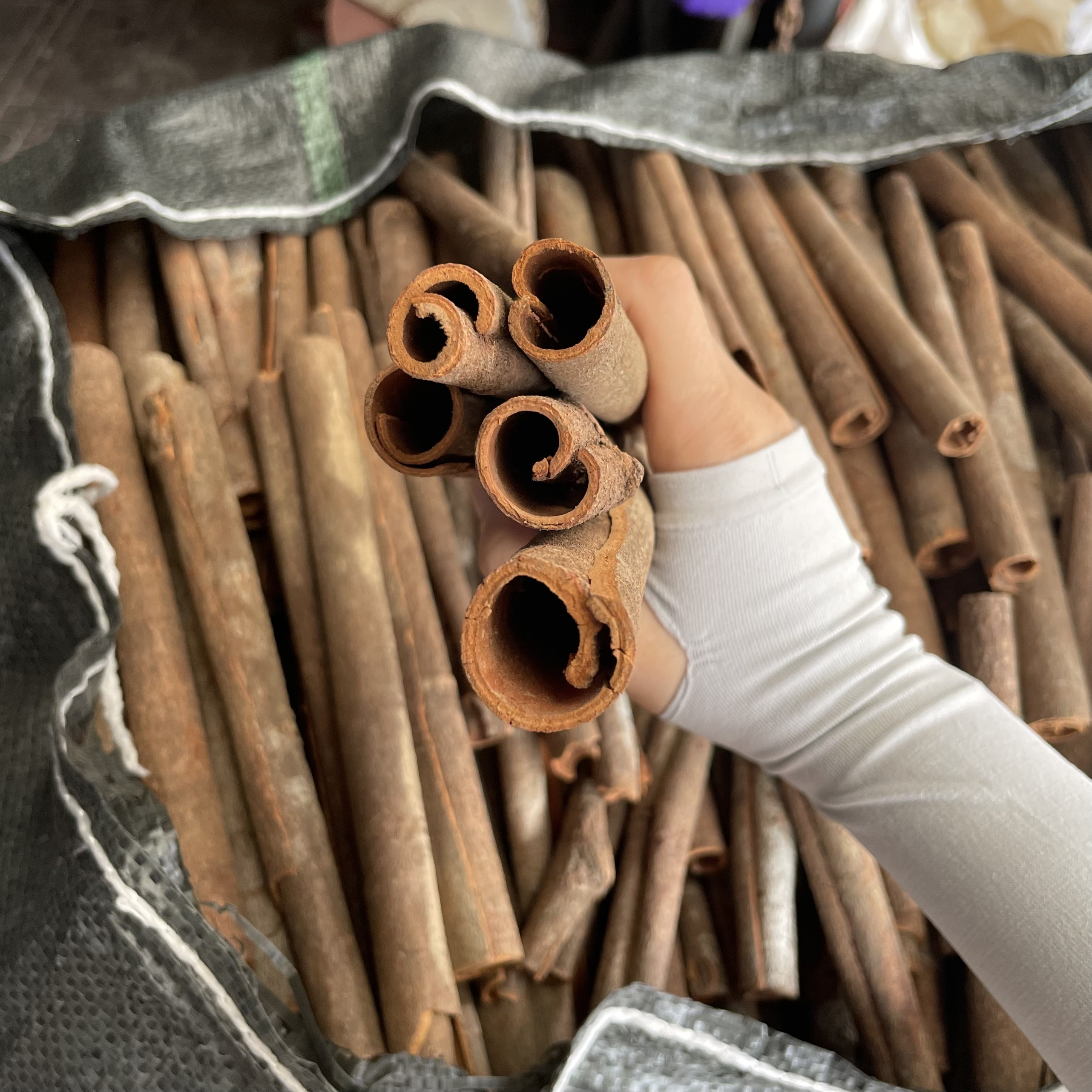 Вьетнамский производитель премиум-класса 90% палочки Cassia Roll 8-10 см, высококачественные смешанные специи и приправы, контактный WS + 84 865216698