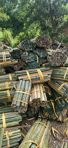 เสาไม้ไผ่สำหรับสวนแบบยั่งยืน เป็นมิตรกับสิ่งแวดล้อม ขายดีที่สุด ใช้เป็นเสาค้ำพยุงต้นไม้ สีฟ้า - Product Image 4
